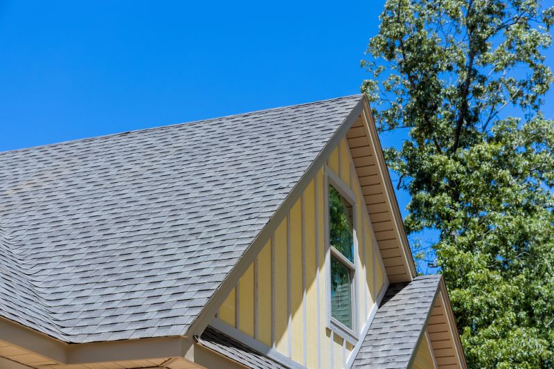 Roof Shingle Replacement