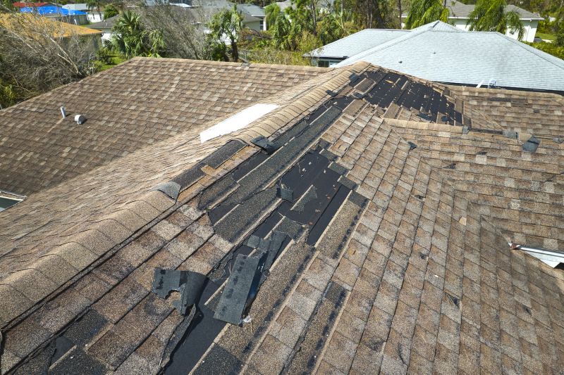 Complete Roof Restoration