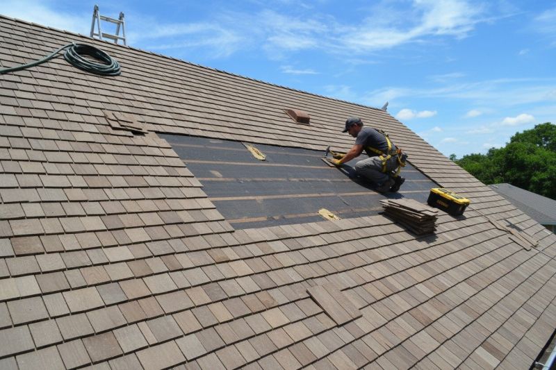 Roof Shingle Replacement